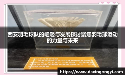 西安羽毛球队的崛起与发展探讨聚焦羽毛球运动的力量与未来